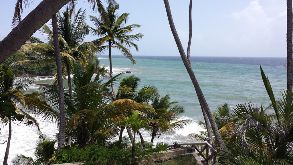 Blue Haven Hotel - Bacolet Bay - Tobago Scarborough Exterior photo