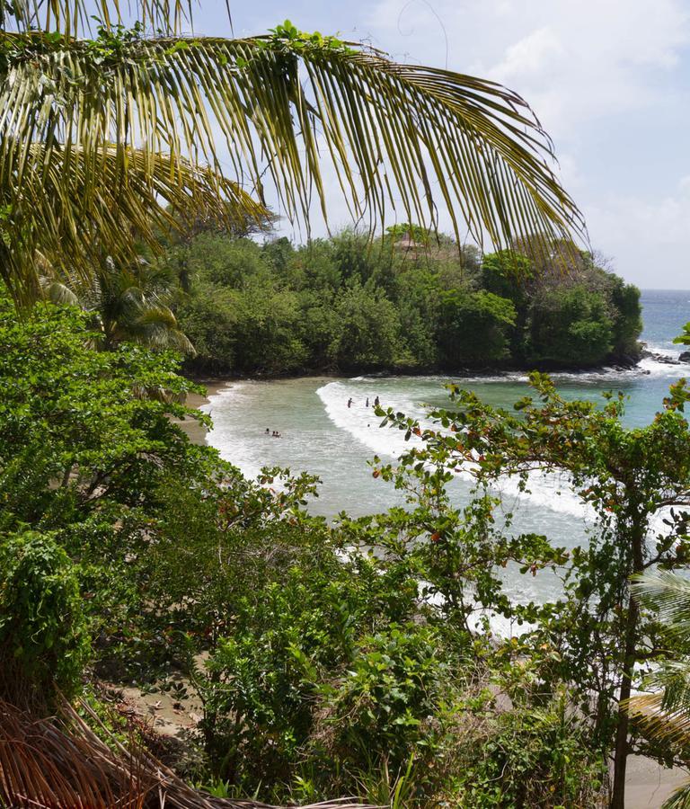 Blue Haven Hotel - Bacolet Bay - Tobago Scarborough Exterior photo